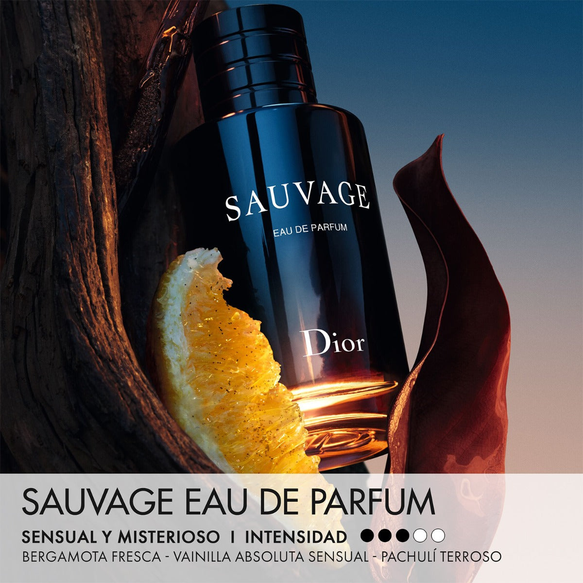 Dior Sauvage Eau de Parfum